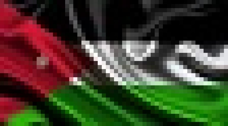 Palestine flag